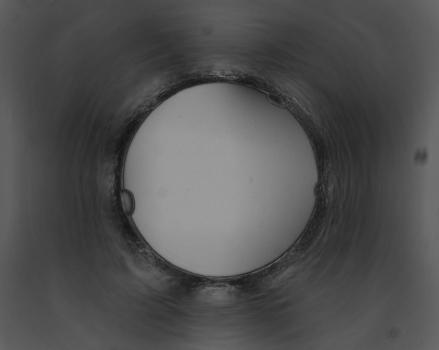 X0000091370595200708311527