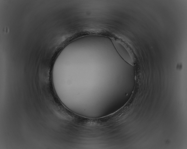 X0000091370596200708311527