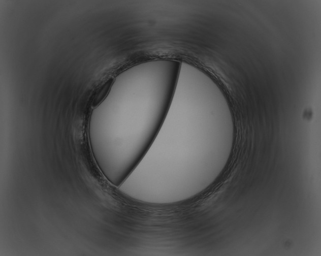 X0000091370597200708311527