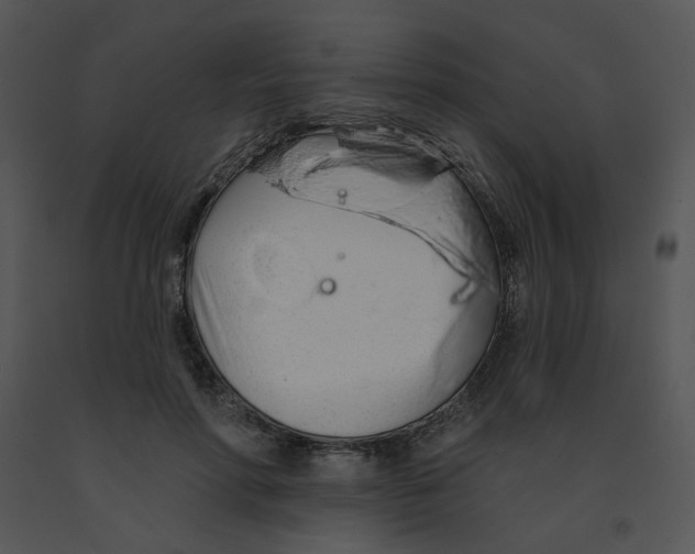 X0000091370598200708311527