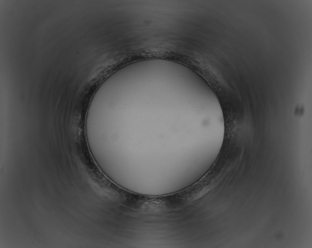 X0000091370599200708311527