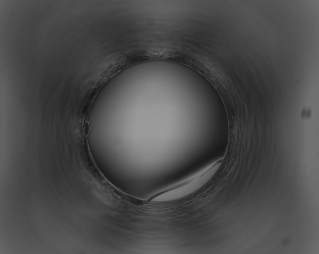 X0000091370601200708311527