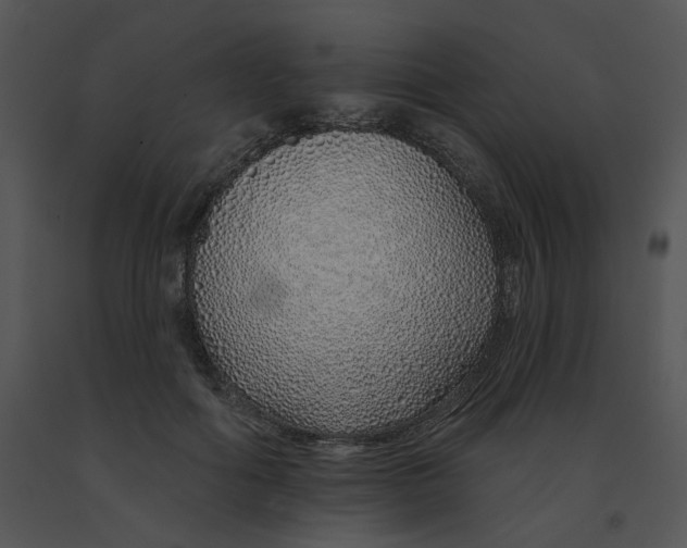 X0000091370602200708311527