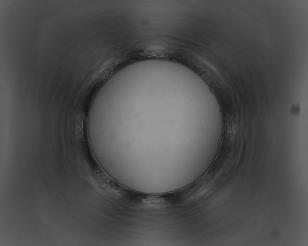 X0000091370603200708311527