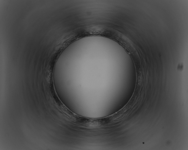 X0000091370604200708311527