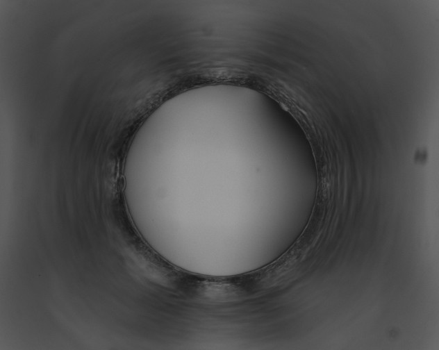 X0000091370605200708311527