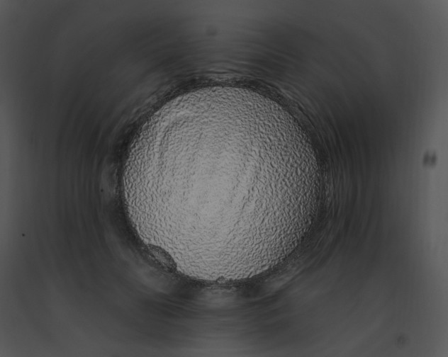 X0000091370606200708311527