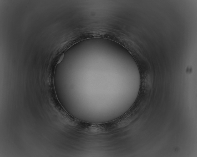 X0000091370608200708311527