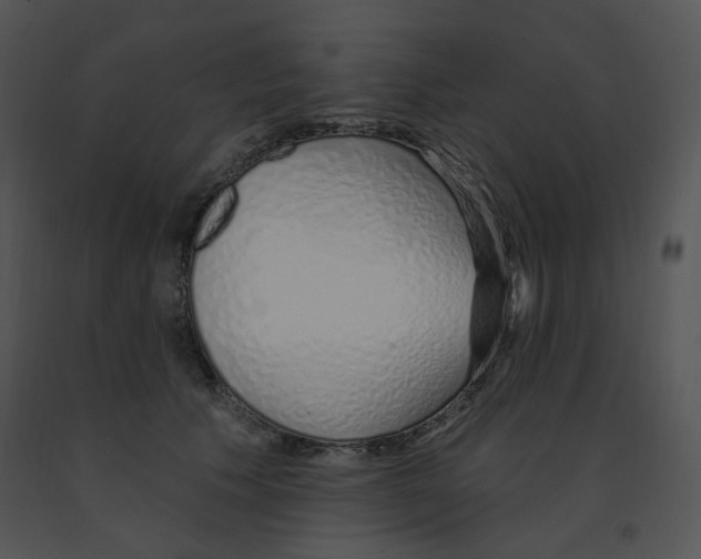 X0000091370609200708311527