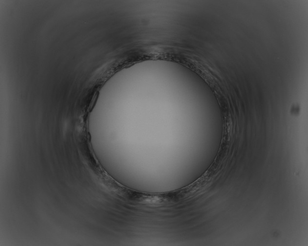 X0000091370611200708311527