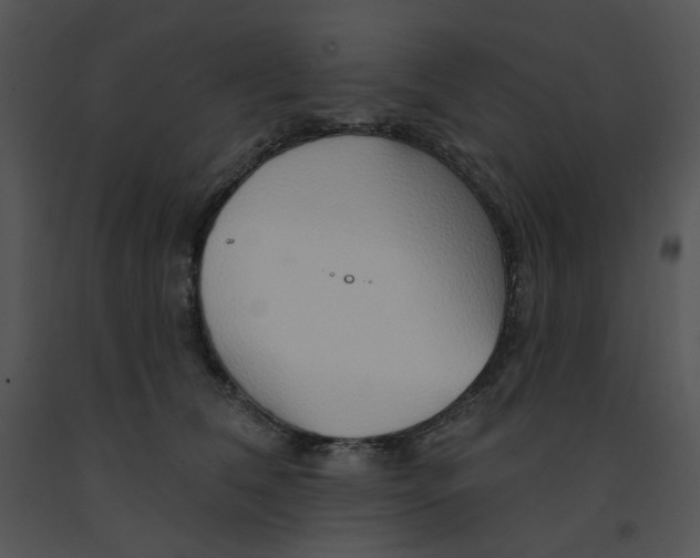 X0000091370612200708311527