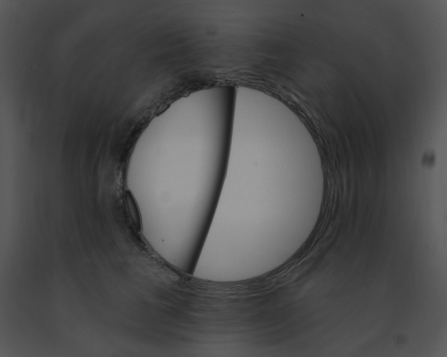 X0000091370613200708311527