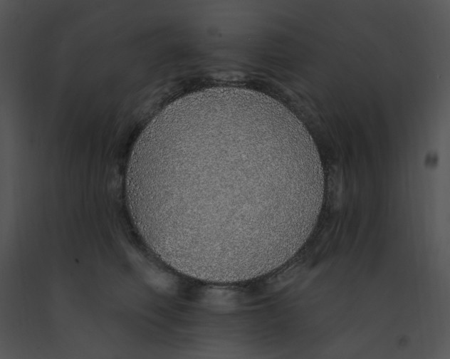 X0000091370614200708311527