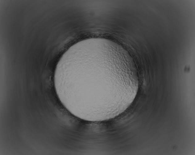 X0000091370615200708311527