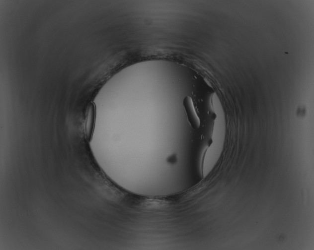 X0000091370617200708311527