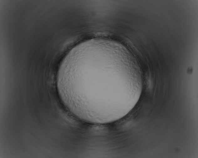 X0000091370619200708311527