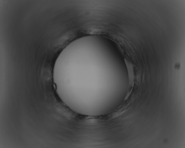 X0000091370620200708311527