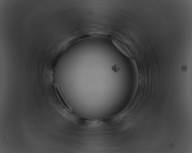 X0000091370621200708311527