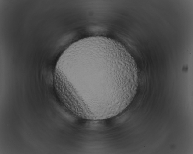 X0000091370622200708311527