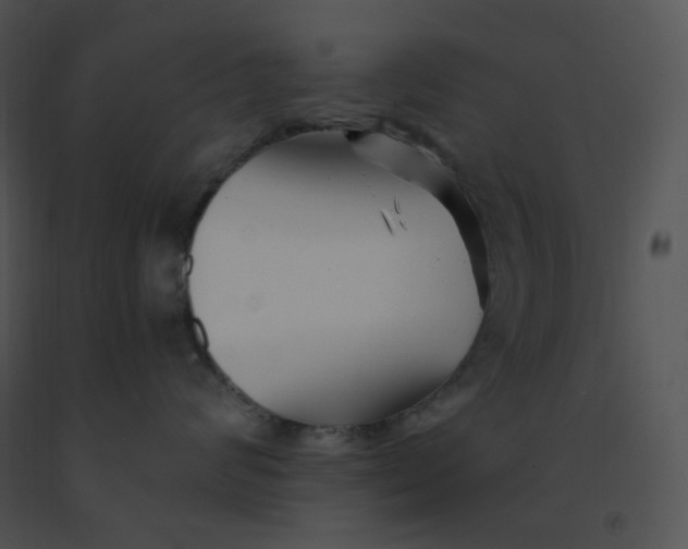 X0000091370624200708311526