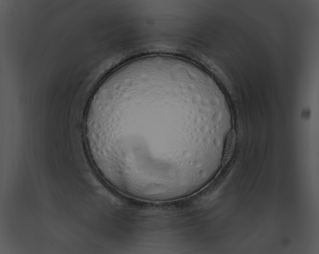 X0000091370625200708311526