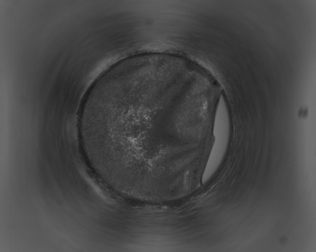 X0000091370626200708311526