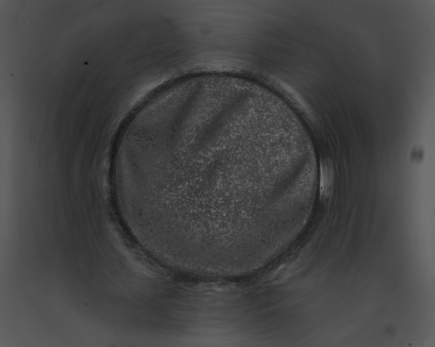 X0000091370627200708311526