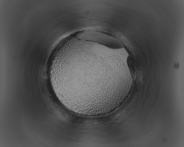 X0000091370628200708311526