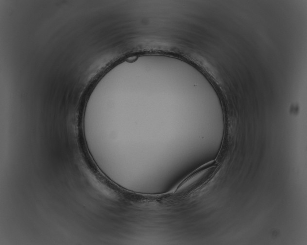 X0000091370629200708311526