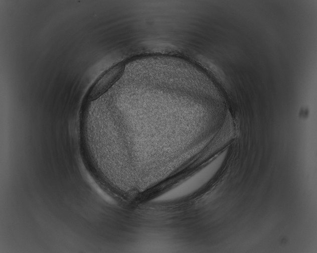 X0000091370630200708311526