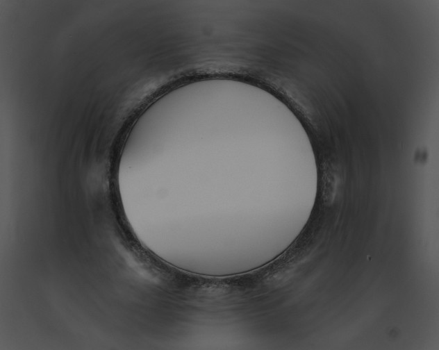 X0000091370631200708311526