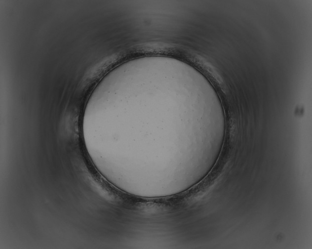 X0000091370633200708311526