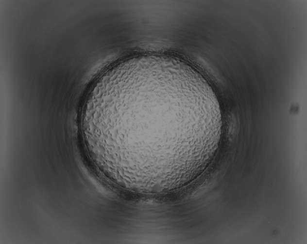 X0000091370634200708311526