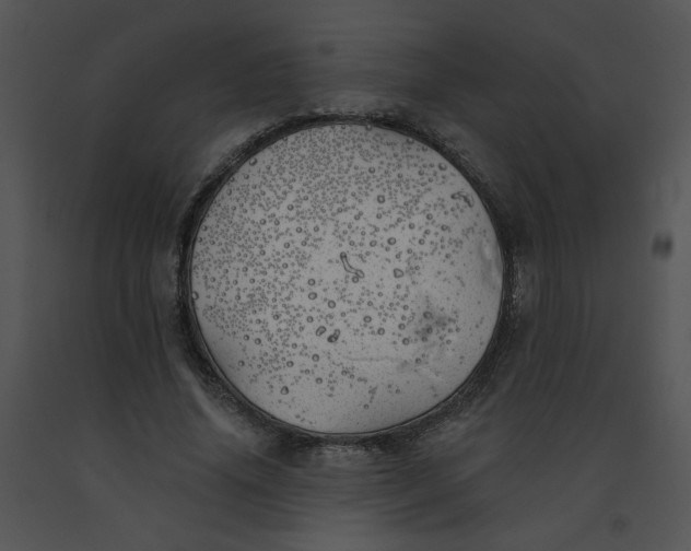 X0000091370636200708311526