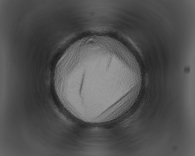 X0000091370637200708311526