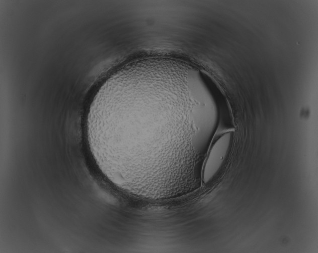 X0000091370638200708311526