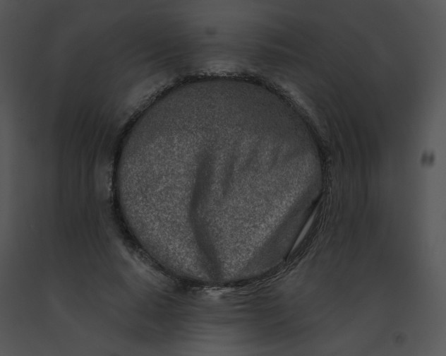 X0000091370640200708311526