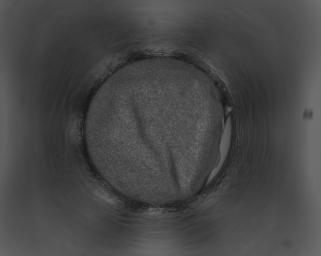 X0000091370641200708311526