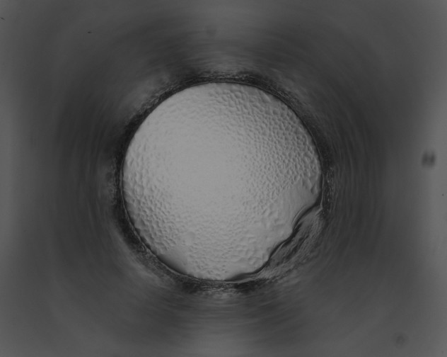 X0000091370642200708311526