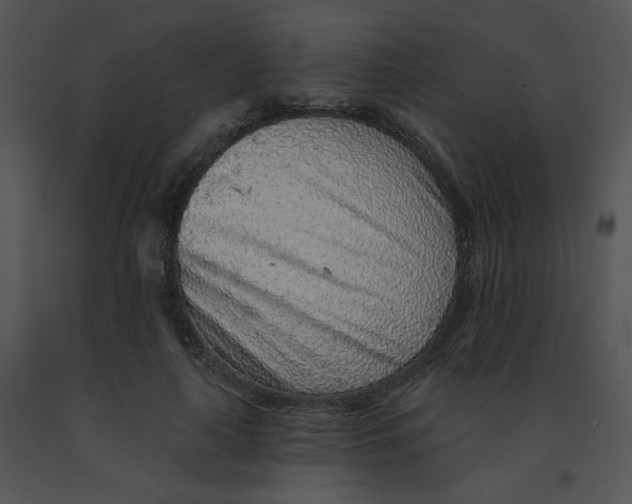 X0000091370643200708311526