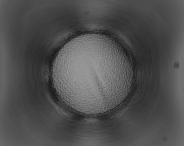 X0000091370644200708311526