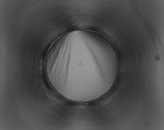 X0000091370646200708311526