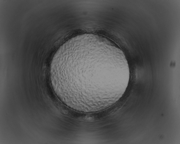 X0000091370647200708311526