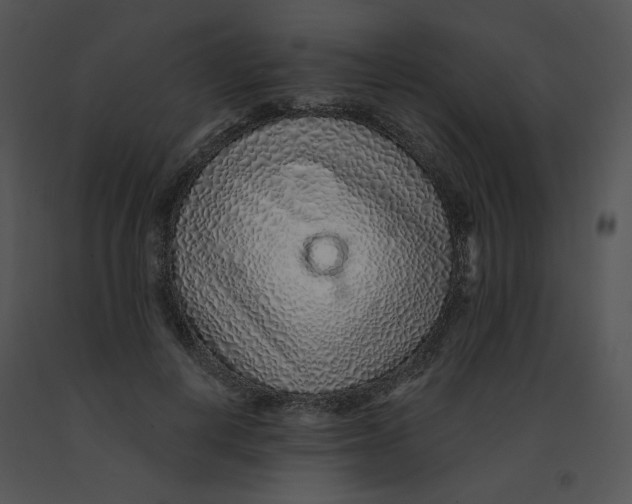 X0000091370648200708311526