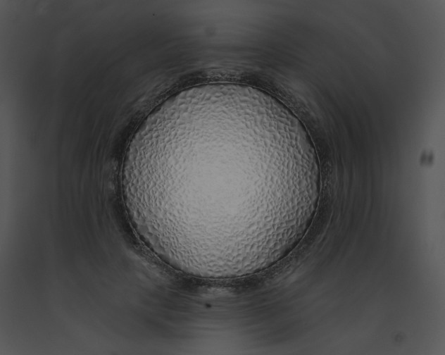 X0000091370649200708311526