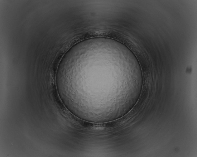 X0000091370651200708311526