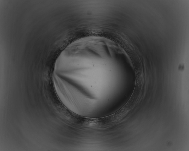 X0000091370655200708311526