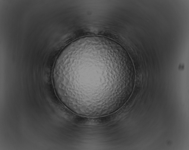 X0000091370656200708311526