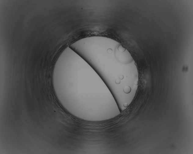 X0000091370657200708311526