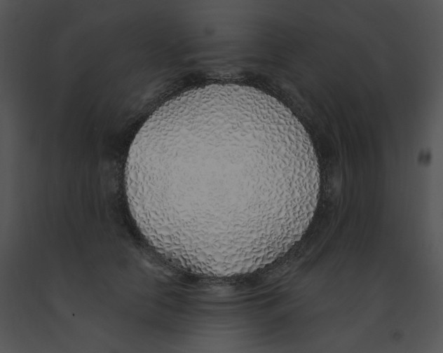 X0000091370658200708311526